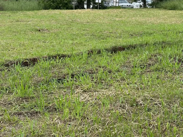 Imagem 4: Terreno com Parcelamento Direto, Confira