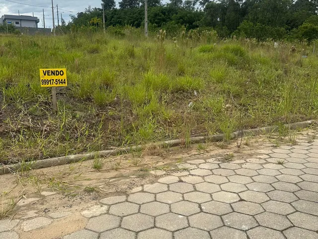 Imagem 8: Loteamento Padre Pio. Lotes Terrenos. À Venda no Bairro Vila Floresta II - Criciúma/Sc Parcelamento Direto