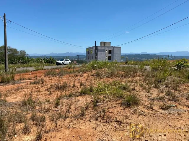 Imagem 5: Loteamento Parque dos Ipês. Terreno Lotes, Esquina, Pronto para Construir. À Venda no Bairro Mina do Mato - Criciúma/Sc