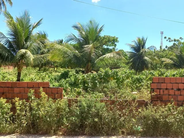 Imagem 4: Terreno à venda no bairro Manguabeira - Eusébio/CE