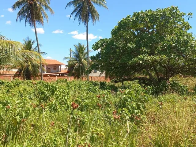 Imagem 6: Terreno à venda no bairro Manguabeira - Eusébio/CE