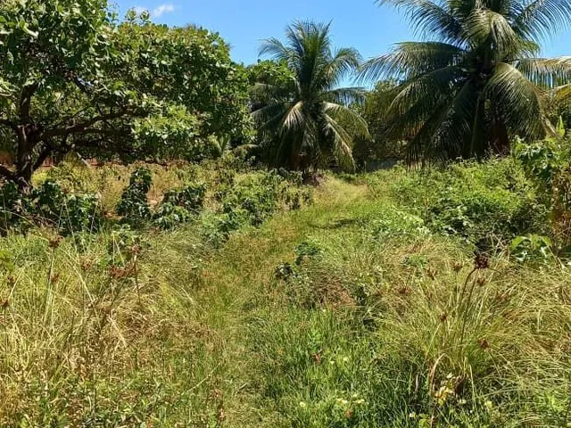 Imagem 3: Terreno à venda no bairro Manguabeira - Eusébio/CE