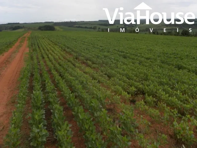 Imagem: Fazenda de Soja para venda em Uberlândia