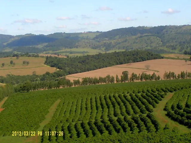Imagem: Fazenda na Região de Passos MG