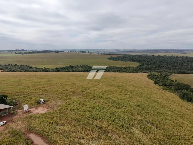 Imagem 3: ÁREA RURAL 89 ALQUEIRES IPORÃ