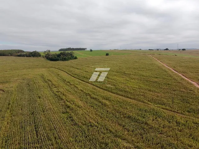 Imagem 4: ÁREA RURAL 89 ALQUEIRES IPORÃ