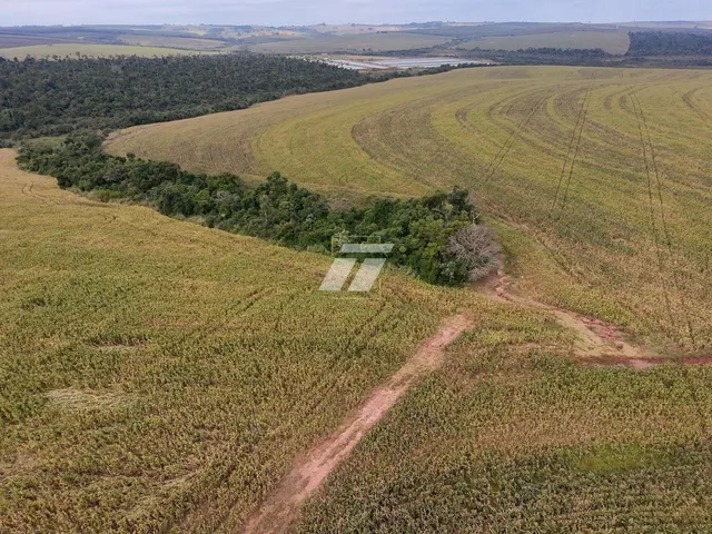 Imagem 2: ÁREA RURAL 89 ALQUEIRES IPORÃ