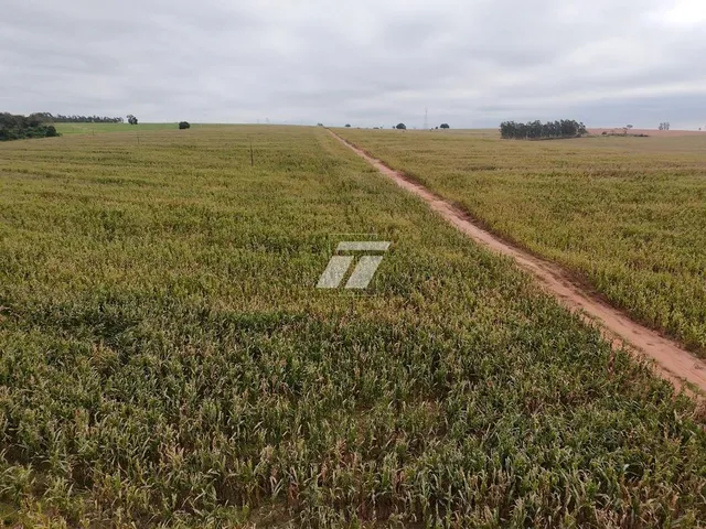Imagem 11: ÁREA RURAL 89 ALQUEIRES IPORÃ
