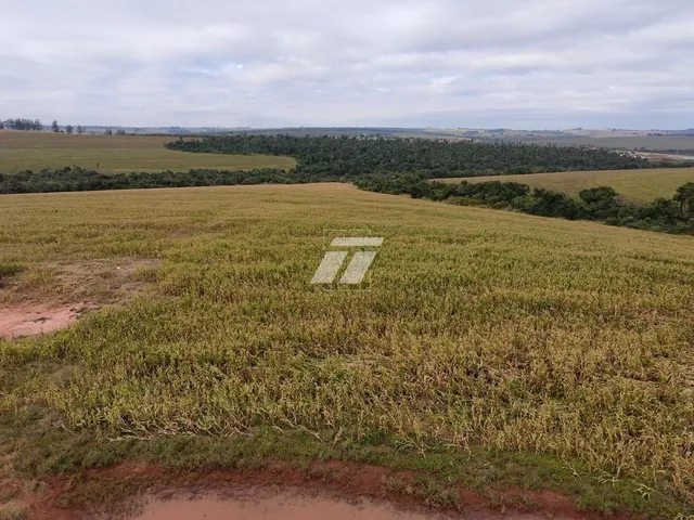 Imagem 12: ÁREA RURAL 89 ALQUEIRES IPORÃ