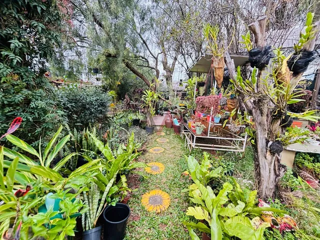 Imagem 11: Sala Comercial para Locação,648.46 M², Centro - Gpva, Guarapuava - Pr