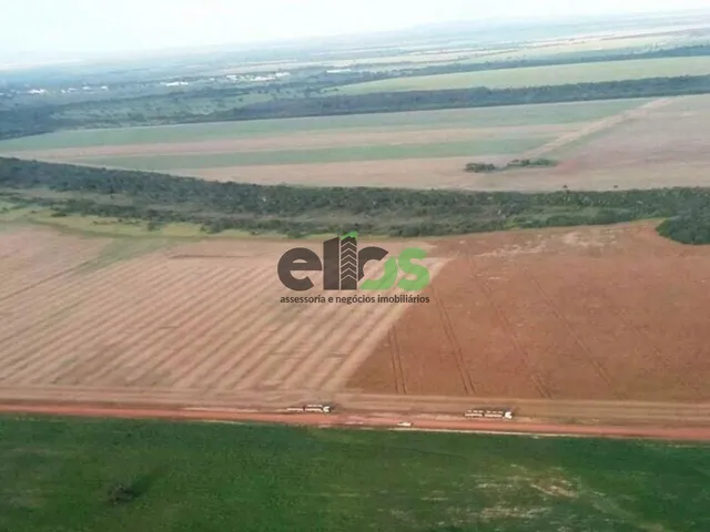Imagem 7: FAZENDA, 33.000 hectares, em AGRICULTURA Safra/Safrinha e PECUÁRIA com confinamento para