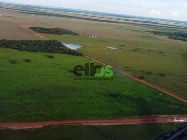 Imagem 10: FAZENDA, 33.000 hectares, em AGRICULTURA Safra/Safrinha e PECUÁRIA com confinamento para