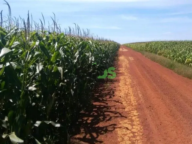 Imagem 5: FAZENDA, 33.000 hectares, em AGRICULTURA Safra/Safrinha e PECUÁRIA com confinamento para