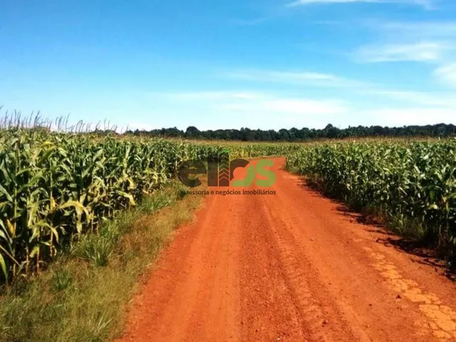 Imagem 3: FAZENDA, 33.000 hectares, em AGRICULTURA Safra/Safrinha e PECUÁRIA com confinamento para