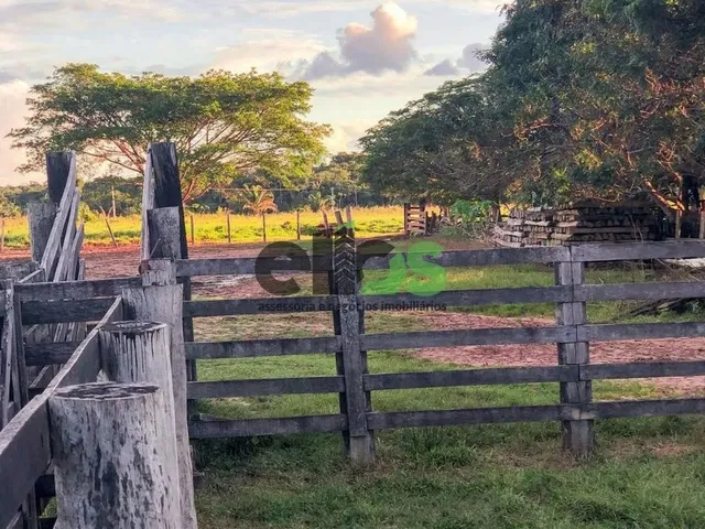Imagem: A fazenda possui 1 Dormitório, 1 Banheiro, 1.530m² de
