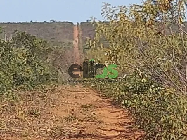 Imagem: Fazenda de Dupla Aptidão - AGRICULTURA