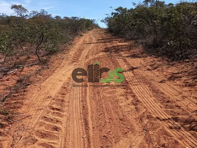 Imagem 8: Fazenda de Dupla Aptidão - AGRICULTURA (LAVOURA/GRÃOS) e PECUÁRIA, 24.427 hectares, à