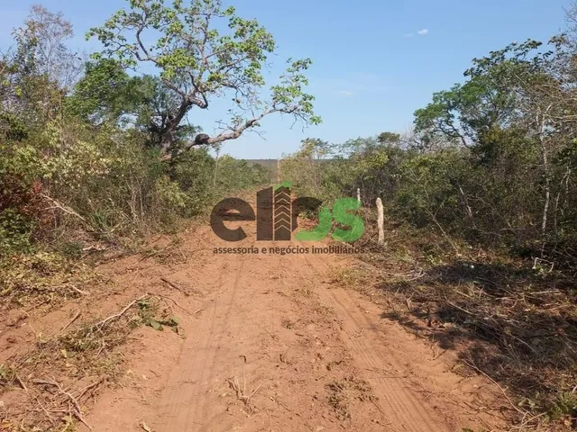 Imagem 6: Fazenda de Dupla Aptidão - AGRICULTURA (LAVOURA/GRÃOS) e PECUÁRIA, 24.427 hectares, à