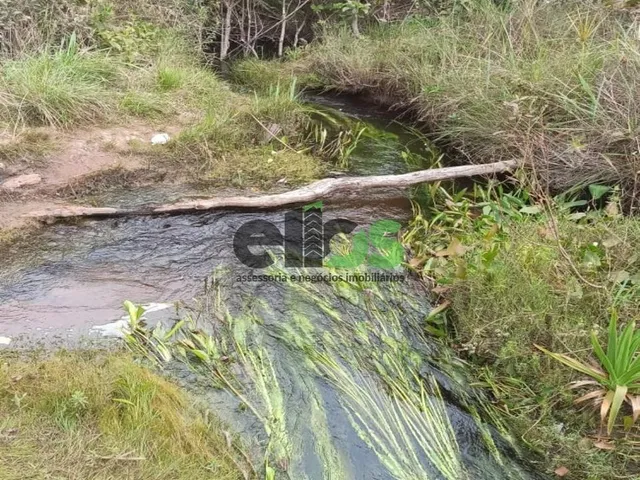 Imagem 2: Fazenda de Dupla Aptidão - AGRICULTURA (LAVOURA/GRÃOS) e PECUÁRIA, 24.427 hectares, à