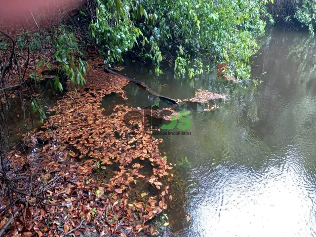 Imagem 14: Fazenda de Dupla Aptidão - AGRICULTURA (LAVOURA/GRÃOS) e PECUÁRIA, 24.427 hectares, à