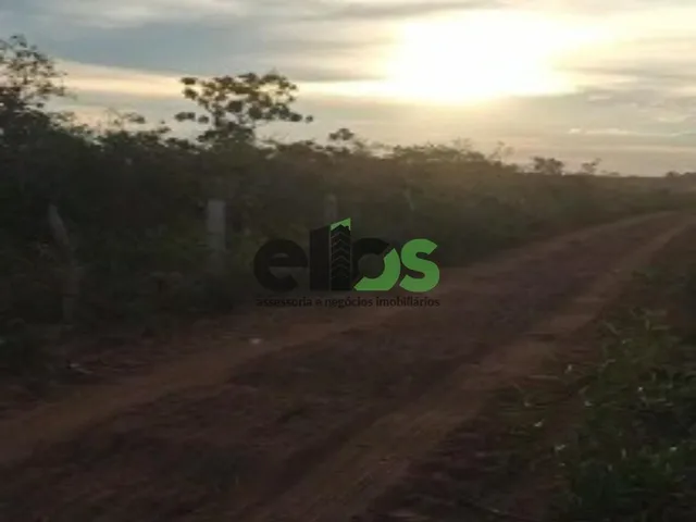 Imagem 16: Fazenda de Dupla Aptidão - AGRICULTURA (LAVOURA/GRÃOS) e PECUÁRIA, 24.427 hectares, à
