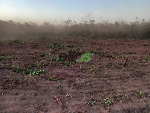 Imagem 3: Fazenda de Dupla Aptidão - AGRICULTURA (LAVOURA/GRÃOS) e PECUÁRIA, 24.427 hectares, à