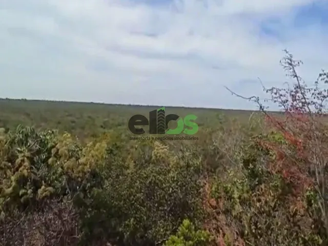 Imagem 11: Fazenda de Dupla Aptidão - AGRICULTURA (LAVOURA/GRÃOS) e PECUÁRIA, 24.427 hectares, à