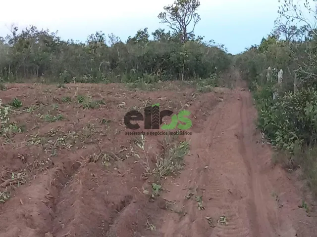 Imagem 5: Fazenda de Dupla Aptidão - AGRICULTURA (LAVOURA/GRÃOS) e PECUÁRIA, 24.427 hectares, à