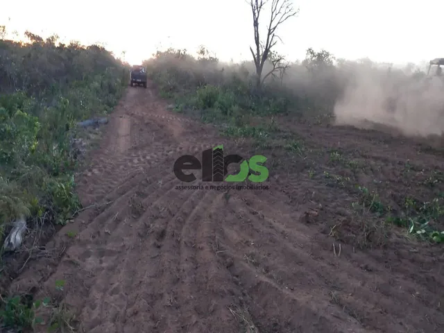 Imagem 4: Fazenda de Dupla Aptidão - AGRICULTURA (LAVOURA/GRÃOS) e PECUÁRIA, 24.427 hectares, à