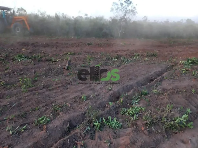 Imagem 13: Fazenda de Dupla Aptidão - AGRICULTURA (LAVOURA/GRÃOS) e PECUÁRIA, 24.427 hectares, à