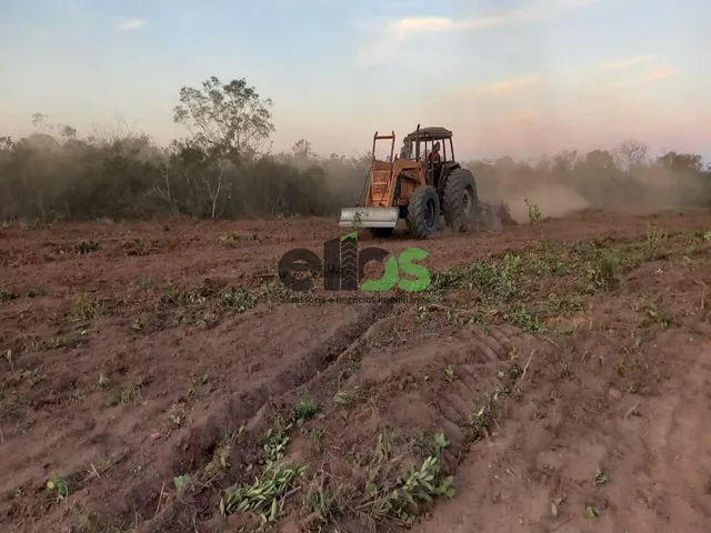 Imagem 7: Fazenda de Dupla Aptidão - AGRICULTURA (LAVOURA/GRÃOS) e PECUÁRIA, 24.427 hectares, à
