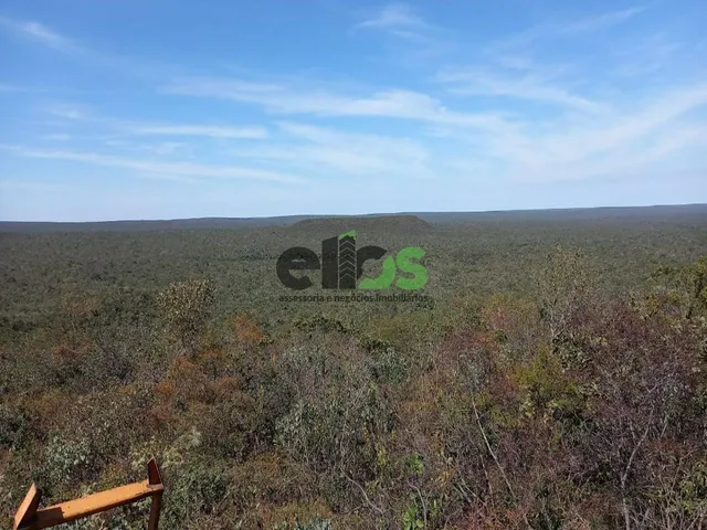 Imagem 15: Fazenda de Dupla Aptidão - AGRICULTURA (LAVOURA/GRÃOS) e PECUÁRIA, 24.427 hectares, à