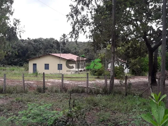 Imagem 9: Fazenda de Dupla Aptidão - AGRICULTURA (LAVOURA/GRÃOS) e PECUÁRIA, 24.427 hectares, à