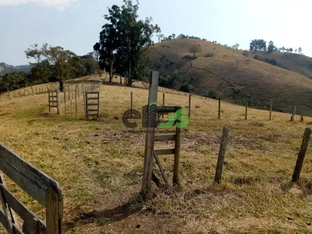 Imagem: Fazenda p/ PECUÁRIA, 20 alqueires totais