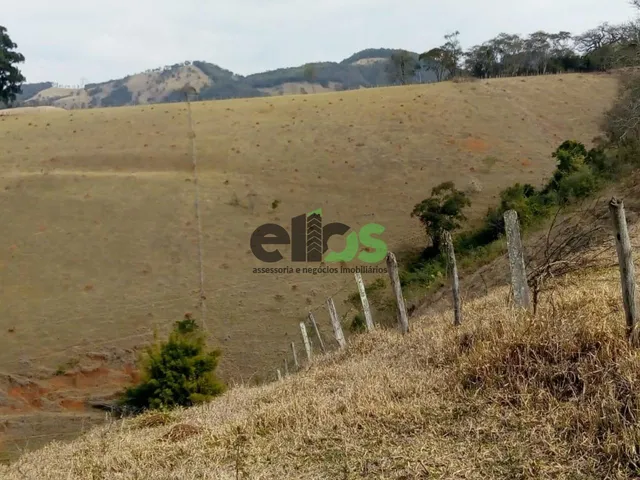 Imagem 11: 0 Fazenda / sítio com 1 dormitório