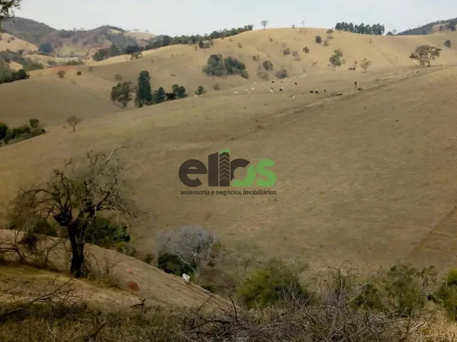 Imagem 6: 0 Fazenda / sítio com 1 dormitório