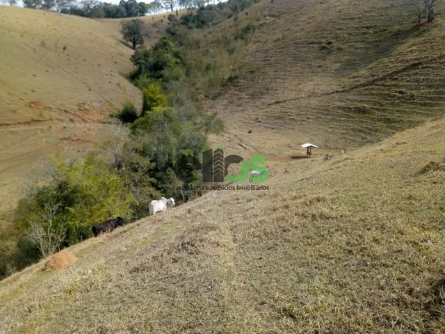 Imagem 10: 0 Fazenda / sítio com 1 dormitório