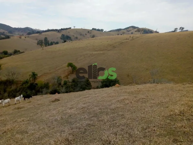 Imagem 13: 0 Fazenda / sítio com 1 dormitório