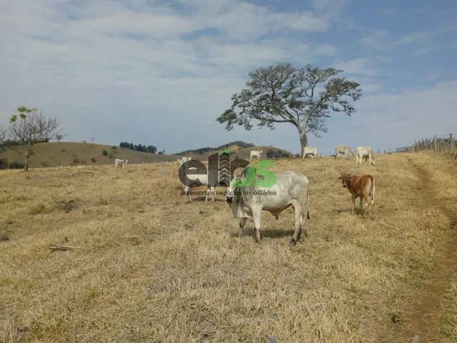 Imagem 5: 0 Fazenda / sítio com 1 dormitório