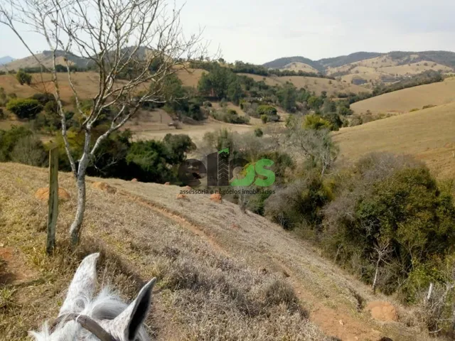 Imagem 14: 0 Fazenda / sítio com 1 dormitório
