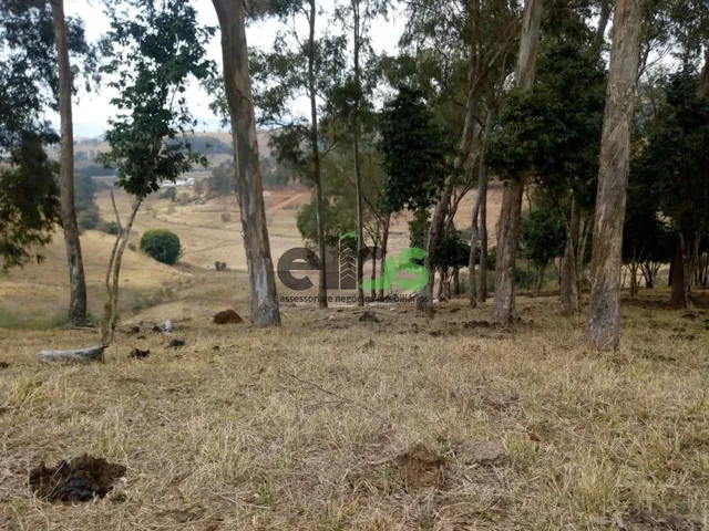 Imagem 3: 0 Fazenda / sítio com 1 dormitório