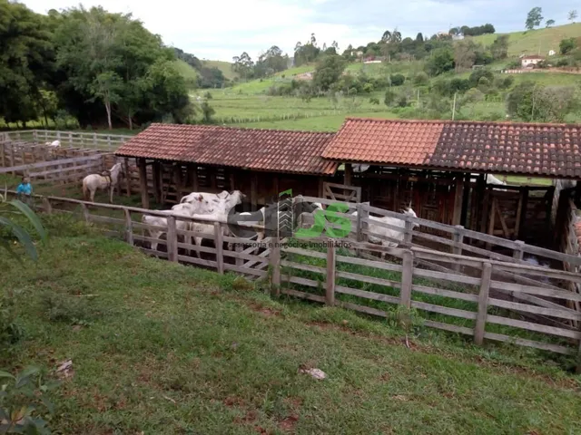 Imagem 7: 0 Fazenda / sítio com 1 dormitório