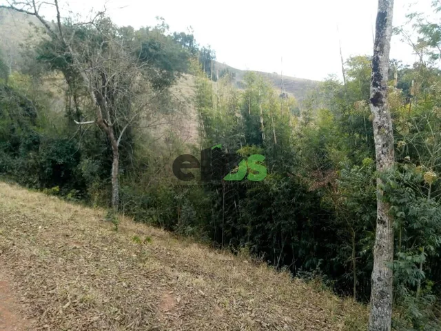 Imagem 12: 0 Fazenda / sítio com 1 dormitório
