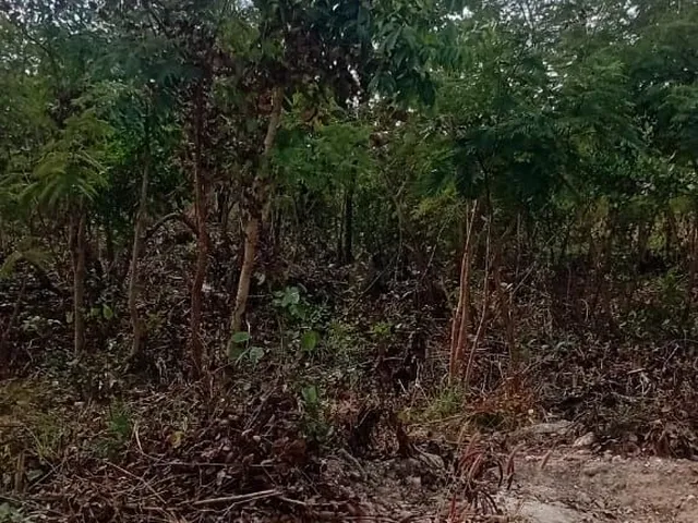 Imagem: Villagio da Chapada - Terreno à venda no