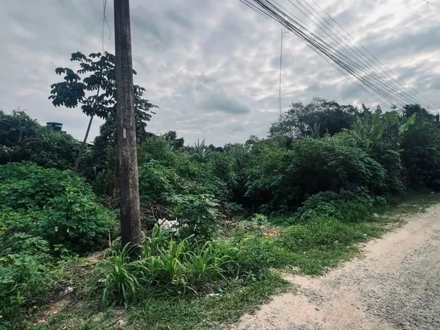 Imagem: Terreno à Venda no Gravatá em Penha SC