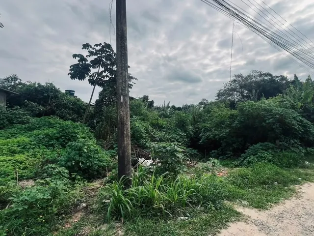 Imagem 5: Terreno À Venda no Gravatá em Penha Sc - 6.031,67M²