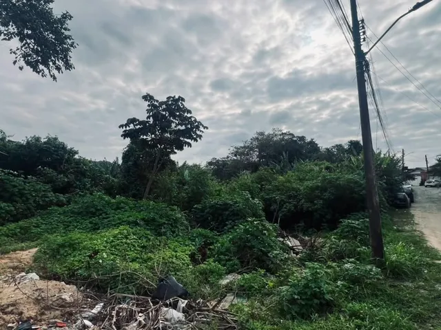 Imagem 4: Terreno À Venda no Gravatá em Penha Sc - 6.031,67M²