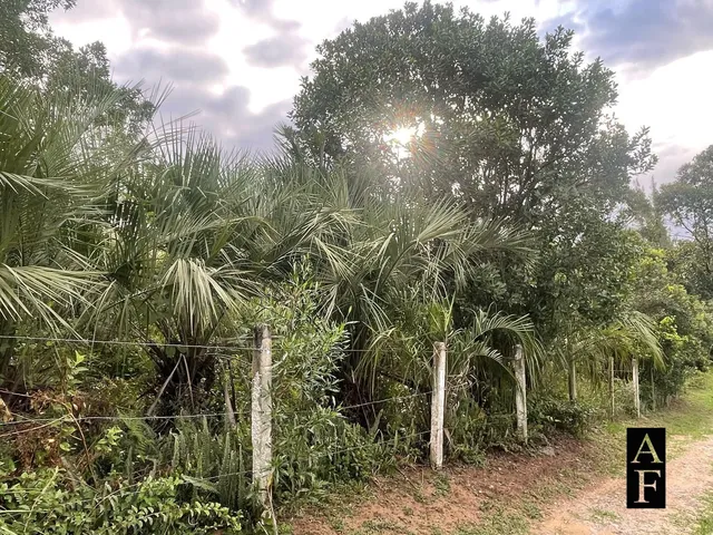 Imagem: Terreno na Praia do Rosa