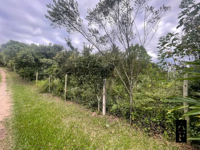 Imagem 3: Terreno na Praia do Rosa