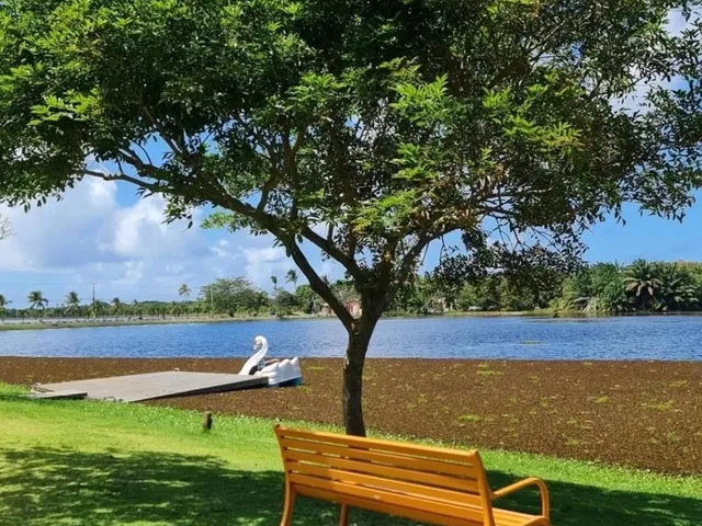 Imagem 6: Casa residencial para Venda em condomínio fechado, Guarajuba (monte Gordo), Camaçari, 2